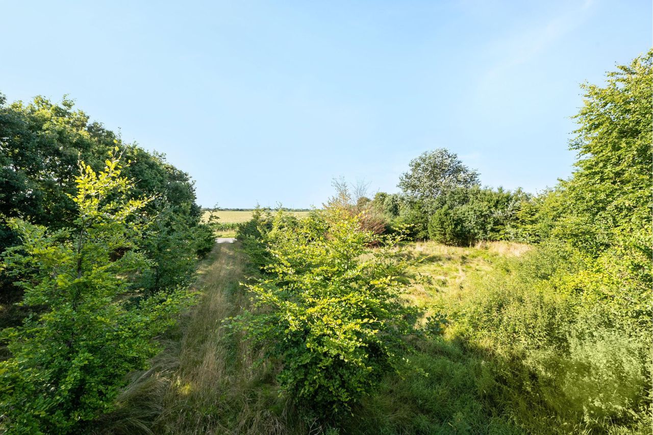 image 02