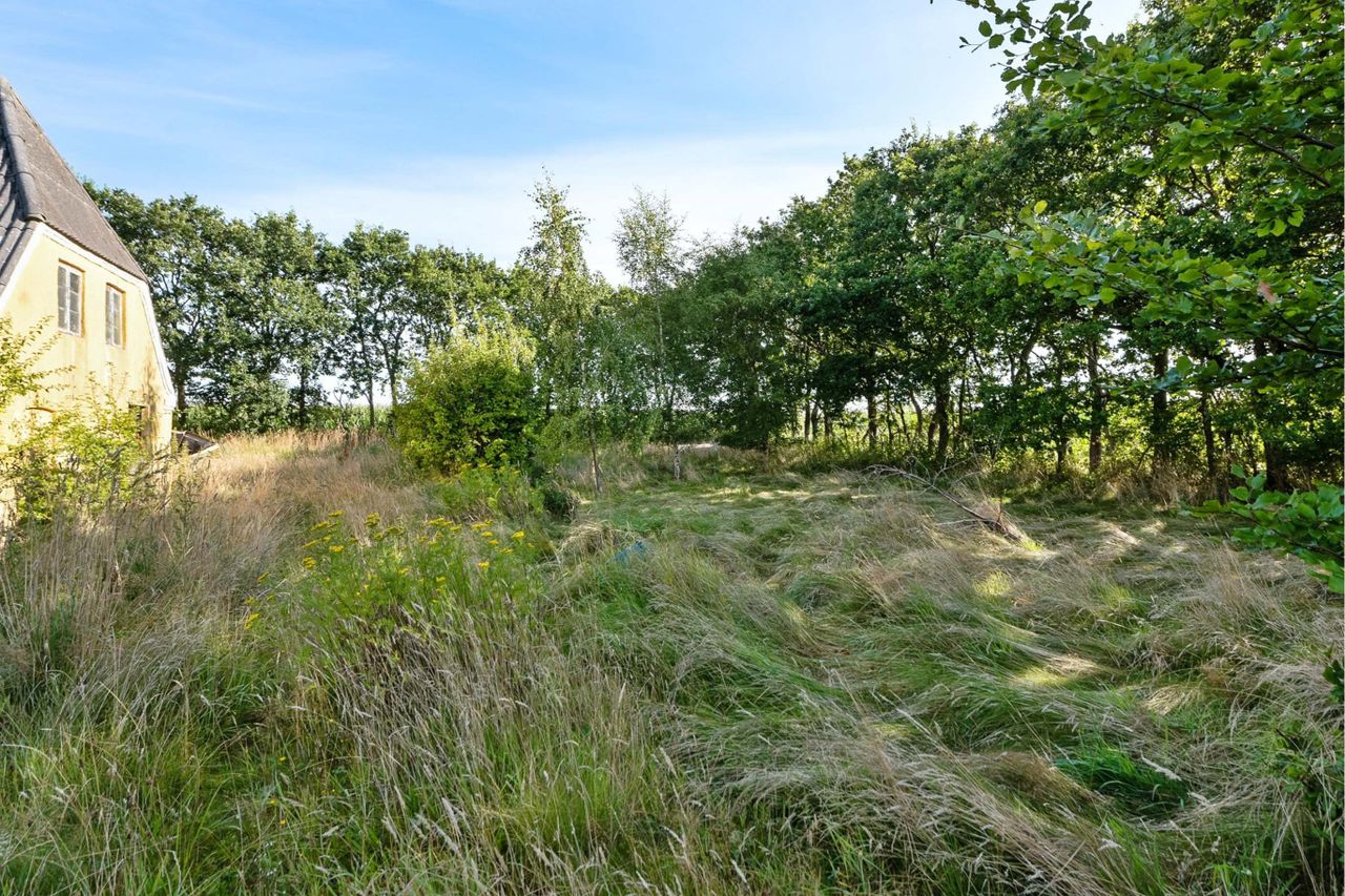 image 03